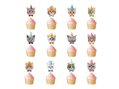 Cat Birthday Cake Toppers