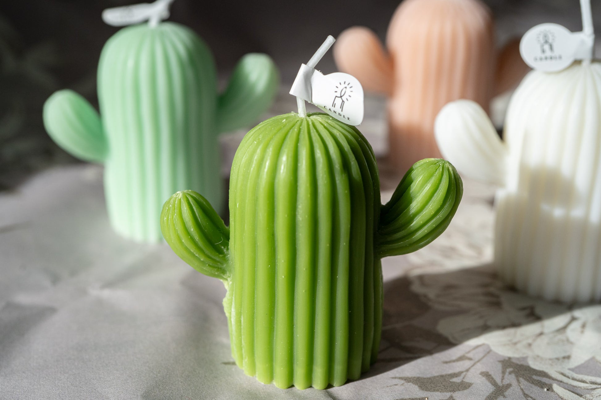 Cactus Candles