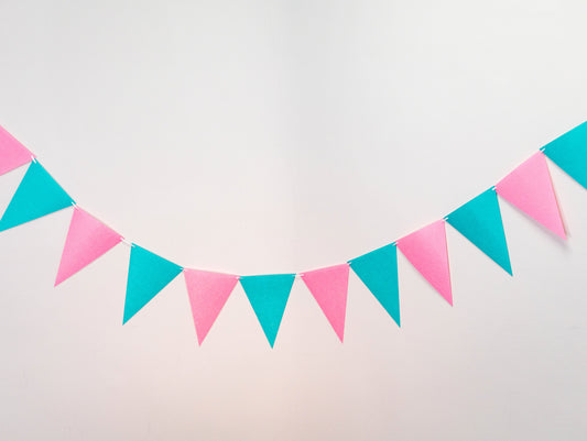 Pink Lake Green Party Banner, Colorful Party Bunting