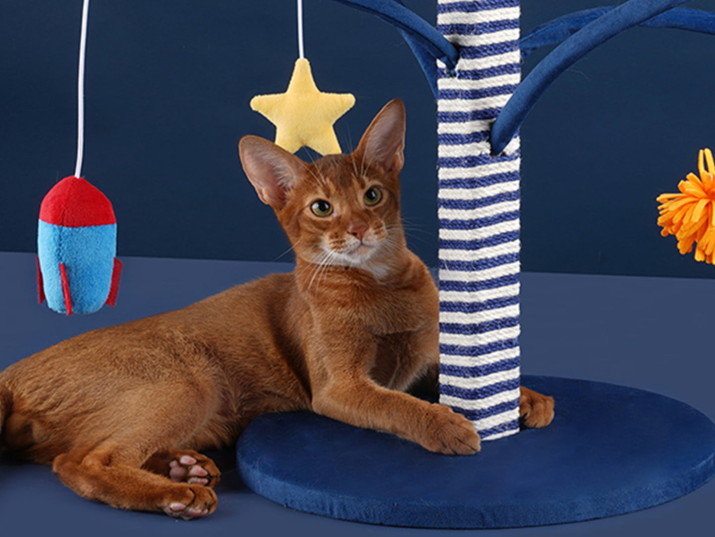 Starry Sky Cat Tree, Cat Tower, Cat Climbing Cando with Scratching Post