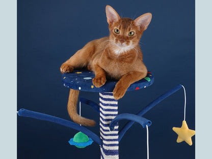 Starry Sky Cat Tree, Cat Tower, Cat Climbing Cando with Scratching Post