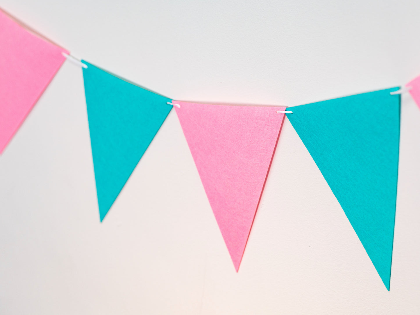 Pink Lake Green Party Banner, Colorful Party Bunting